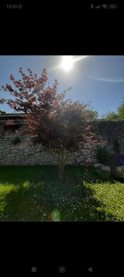 Las Viñas Casa Vacacional Asturias Сasa de vacaciones Oviedo