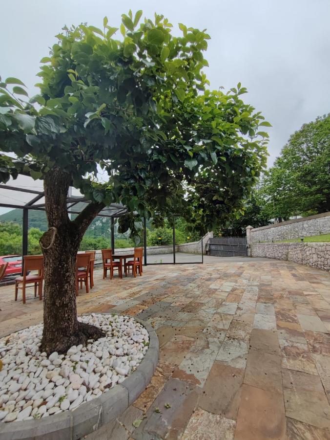 Сasa de vacaciones Las Viñas Casa Vacacional Asturias Oviedo
